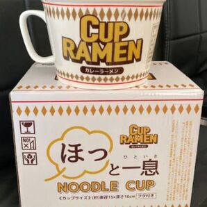 ほっと一息ヌードルカップ カレーラーメン2個セット