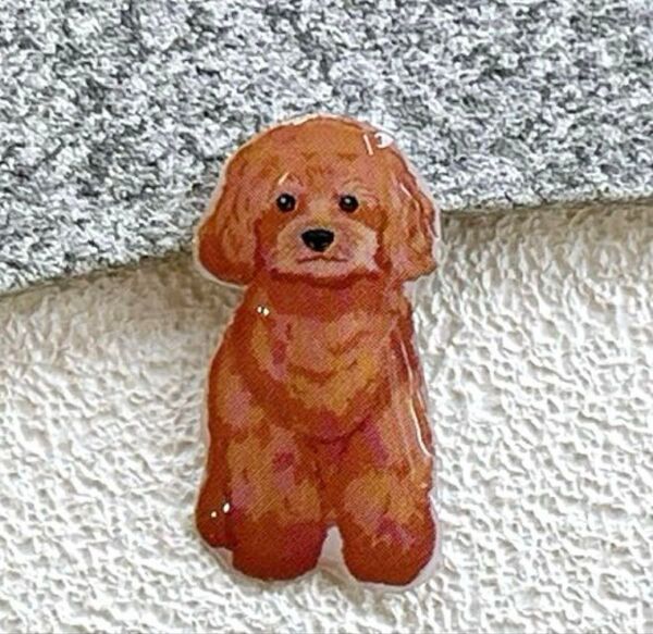 犬 トイプードル わんちゃん ブローチ ヘアゴム チャーム プレゼント