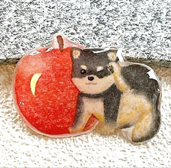 柴犬 黒柴 茶柴 りんご 犬 ブローチ チャーム ピンバッジ ヘアゴム レジン