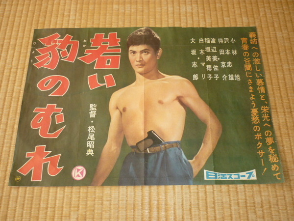 ■希少 美品 1959年（昭和34年）！日活スコープ「若い豹のむれ」野外用小さめ35cm×51cm映画ポスター 監督/松尾昭典◇小林旭 白木マリ 他