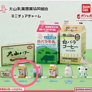 新品未開封 大山乳業 ミニチュアチャーム 白バラフルーツ
