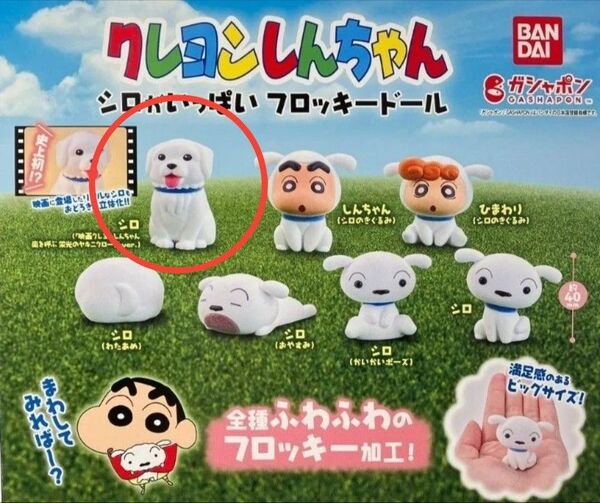 クレヨンしんちゃんシロがいっぱいフロッキードール やきにくらりロード ガチャ
