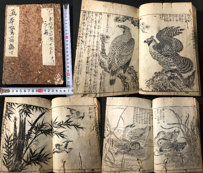 Yahoo!オークション -「花鳥画_(浮世絵)」の落札相場・落札価格 Yahoo!オークション -「花鳥画_(浮世絵)」の落札相場・落札価格