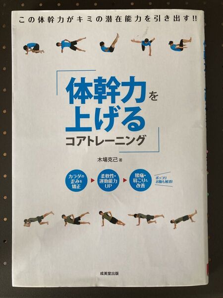 【月末まで出品】体幹力を上げるコアトレーニング
