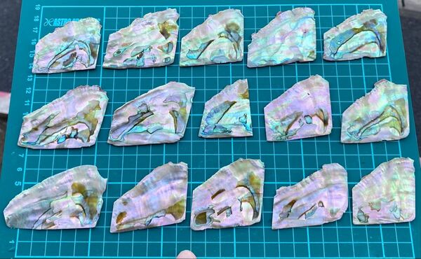 アワビ貝 15枚セット 螺鈿細工 ハンドメイド ハンドクラフト 素材