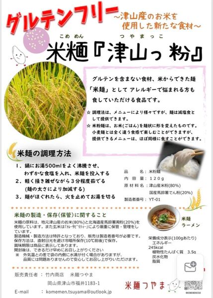 グルテンフリー お米の麺 米麺『津山っ粉』細麺4つ入(送料込)