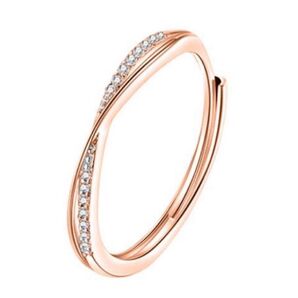 シルバーリング フリーサイズ