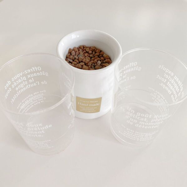 送料445円込み ミニ観葉植物 陶器1個 ミニ観葉植物 プラスティック空容器2個