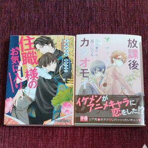 BL 小説 2冊セット