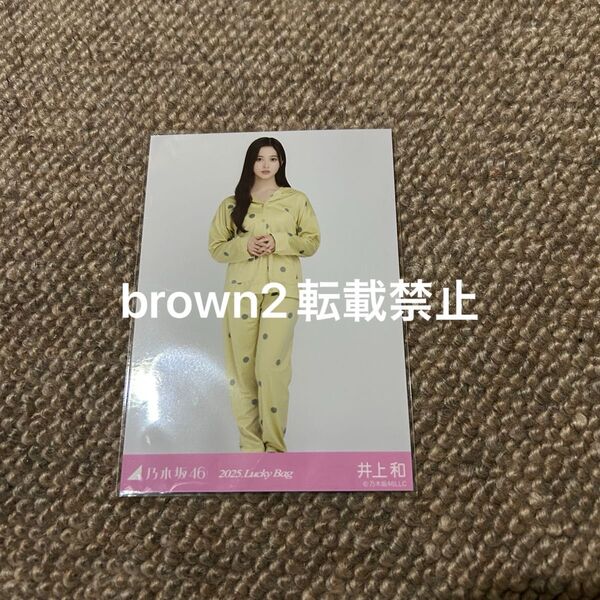 乃木坂46 luckybag 2025 生写真 井上和