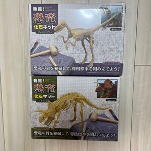 発掘!恐竜化石キット