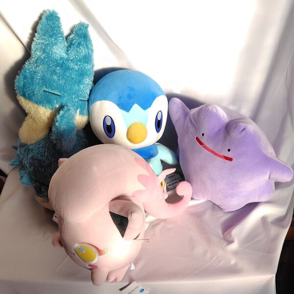 ポケットモンスターめちゃもふぐっとぬいぐるみサケブシッポ&メタモン&ポッチャマ&ゴンベ