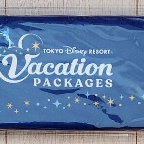 ディズニー バケーションパッケージ ポータブルクッション バケパ