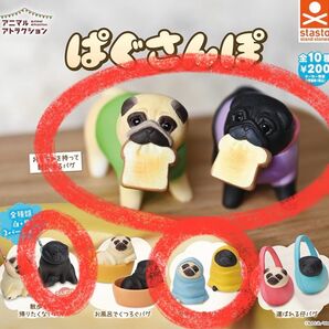 ぱぐさんぽ 5つセット