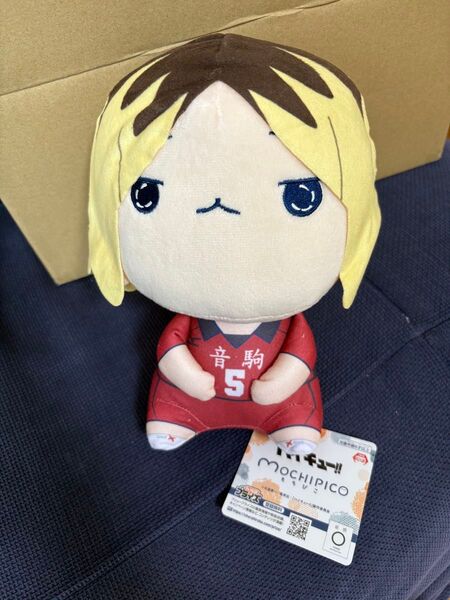 ハイキュー もちぴこ 孤爪研磨
