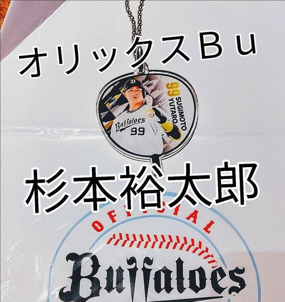 ◆杉本 裕太郎【うちわ型アクリルキーチェーン99】+2025年の試合日程表付き★Bsオリックスバファローズ