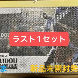 S.H.Figuarts ワンピース 百獣のカイドウ(人獣型)