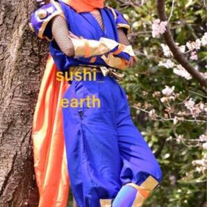 サムライスピリッツ ガルフォードコスプレ衣装