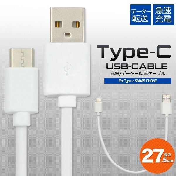 タイプC iPhone16 iPhone15 シリーズ対応 ケーブル