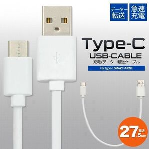 タイプC iPhone16 iPhone15 シリーズ対応 ケーブル