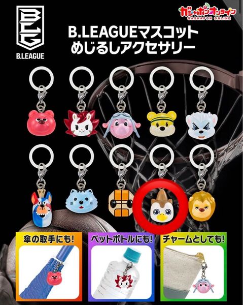 Bリーグめじるしアクセサリー
