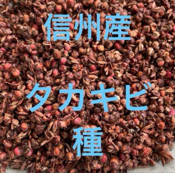 信州産たかきび 赤とうもろこし無農薬200粒