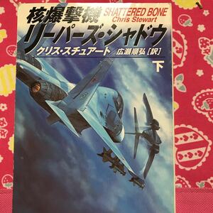 即決 核爆撃機リチャード・シャドウ　クリス・スチュアート　下巻　ハヤカワ文庫