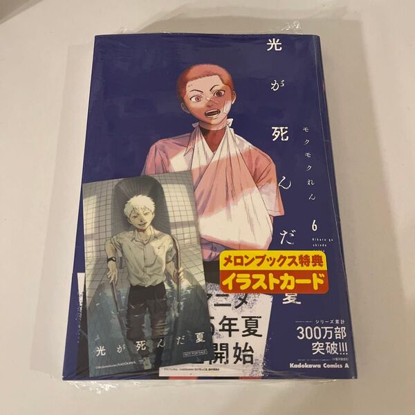 光が死んだ夏