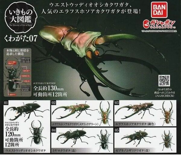 いきもの大図鑑 くわがた07 エラフスホソアカクワガタ(銅色 カッパー) 新品未開封品 バンダイ BANDAI ガチャ