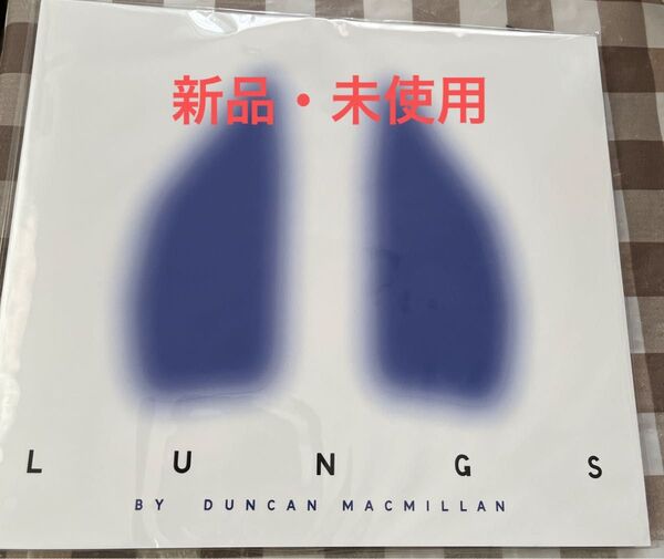 舞台 LUNGS パンフレット