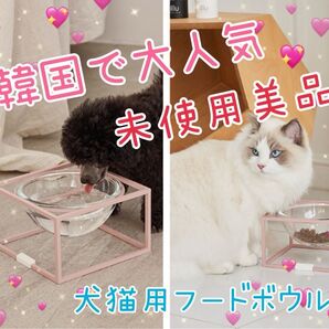 【未使用品】《韓国 STUDIO ALIVE》☆犬猫フード皿