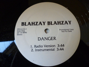 Blahzay Blahzay / Danger 試聴可　オリジナル盤 US PROMO 12 音質の良いPROMO盤！曲の良さは言わずもがなです！