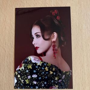 宝塚 宙組 陽月華 スチール 写真