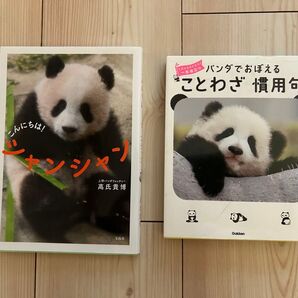 パンダでおぼえることわざ慣用句 こんにちはシャンシャン