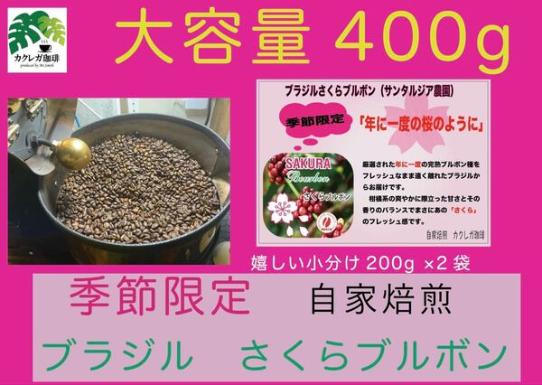 自家焙煎珈琲 季節限定 ブラジル さくらブルボン 400g 大容量