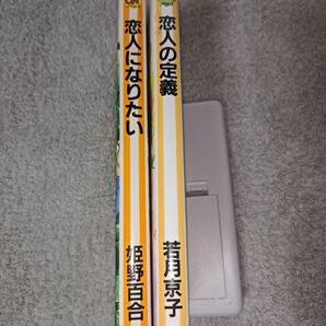 BL小説2冊セット【新書】 恋人になりたい 恋人の定義