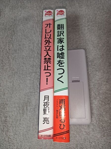 BL小説2冊セット【新書】 オレ以外立入禁止っ! 翻訳家は嘘をつく
