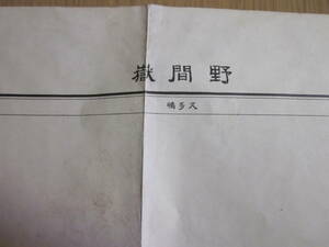 古地図　野間嶽　5万分の1地形図◆昭和29年◆鹿児島県、川邉郡群、加世田市