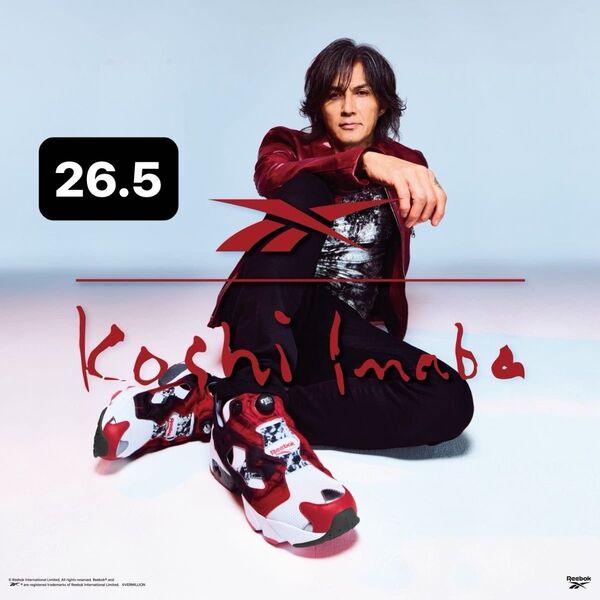 稲葉浩志 Reebok 26.5 B'z party 限定