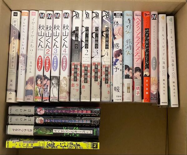 BL漫画 まとめ売り 22冊セット