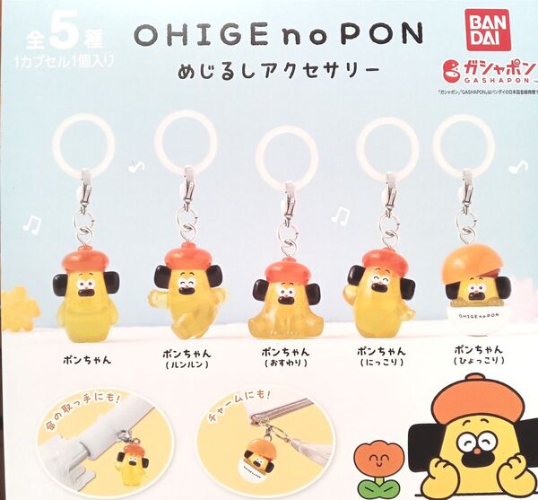 おひげのポン めじるしアクセサリー 全5種セット OHIGE no PON フルコンプ ガチャ カプセル おひげのぽん
