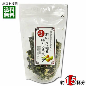 山根食品 国内産がごめ昆布入り おいしく粘る梅とろろスープ 60g（約15杯分） 