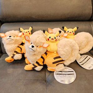 3個 ウィンディ ピカチュウ 沖縄 ポケモンセンター 1周年 記念 店舗販売限定