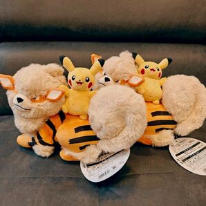 2個 ウィンディ ピカチュウ 沖縄 ポケモンセンター 1周年 店舗販売限定