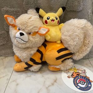 ウィンディ ピカチュウ 沖縄 ポケモンセンター 1周年 記念品 店舗販売限定