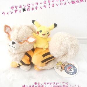 ウィンディ ピカチュウ 沖縄 ポケモンセンター 1周年 記念品 店舗販売限定