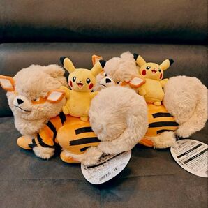 2個 ウィンディ ピカチュウ 沖縄 ポケモンセンター 1周年 店舗販売限定