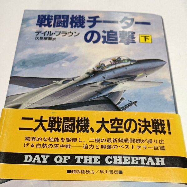 戦闘機チーターの追撃 下