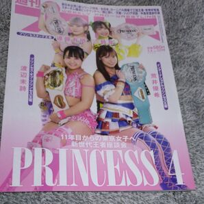 週刊プロレス 2024年5月8日号