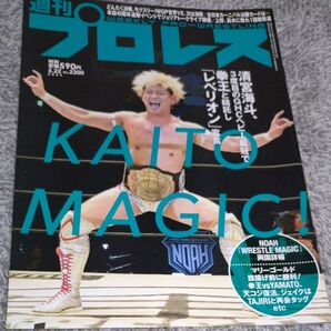 週刊プロレス 2024年5月22日号